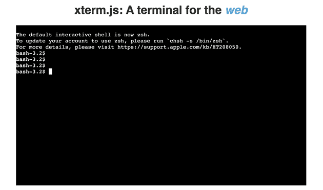xterm-demo-page